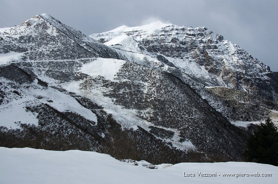 08-IL VENTO SPAZZA LA CIMA DELLA VIGNA SOLIVA.jpg